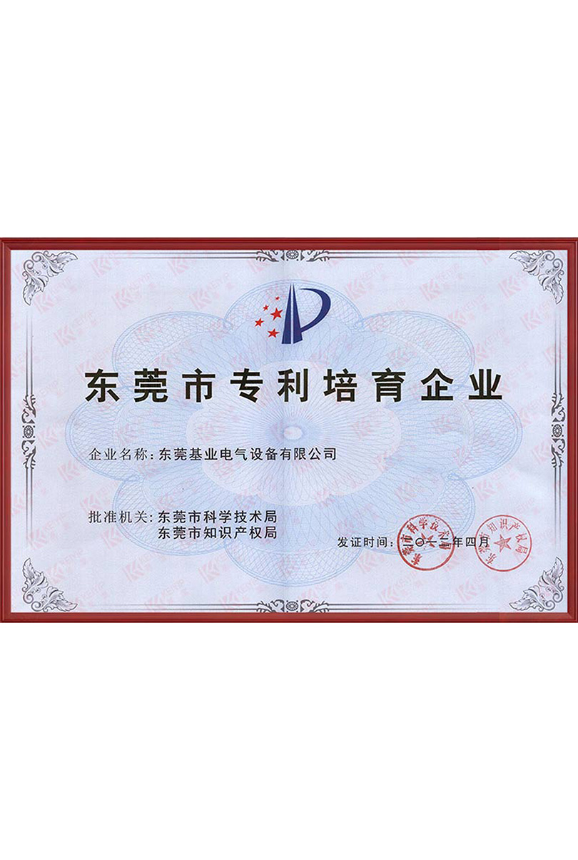東莞市專(zhuān)門(mén)培育企業(yè)